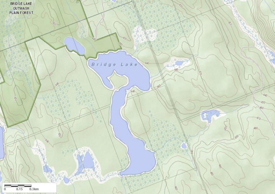 Topographical Map of Bridge Lake in Municipality of Kearney and the District of Parry Sounds